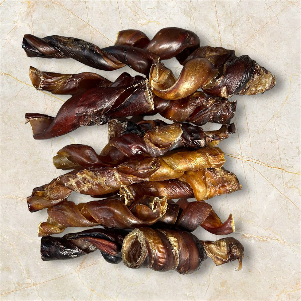 Low Odor 5"- 6" Bully Spring Bully Stick 10 Packs