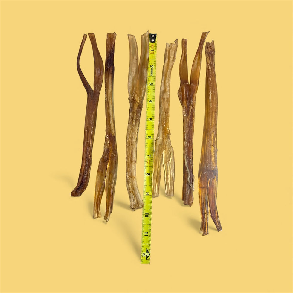 Thumbnail: Odorless 8”-10” Beef Leg Tendon Stick 10pk
