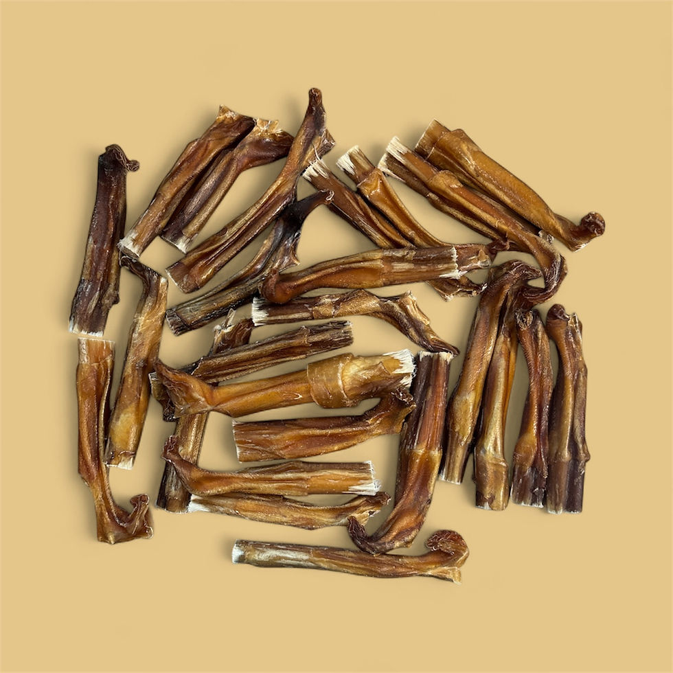 Best Value Odor Free 4”-5" Bully Stick Tip 1 LB Approximately 30 Treats