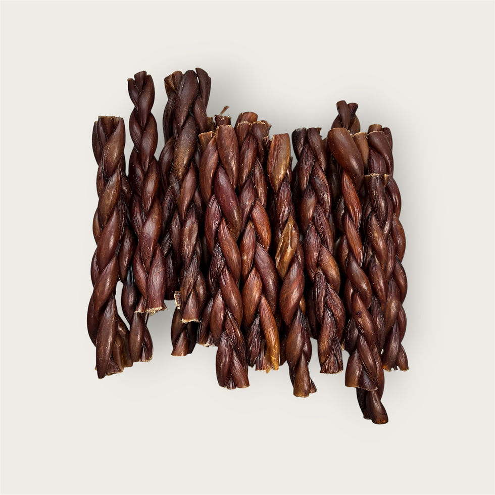 6" Braided Pork Gullet Stick 10pk