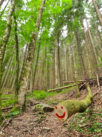 Waldbaden