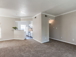 Carpet Vs Vinyl: Pros and Cons for Property Managers