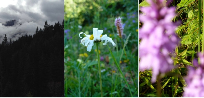 Butoh-Wochende mit Wanderung