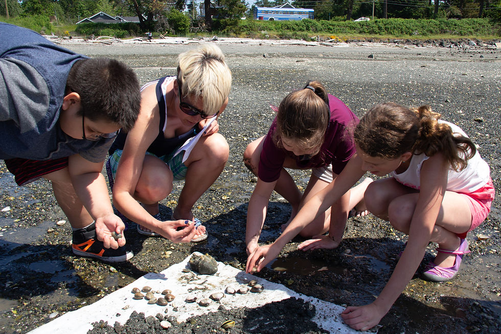 Kids and teacher studying clams 2-9900.jpg