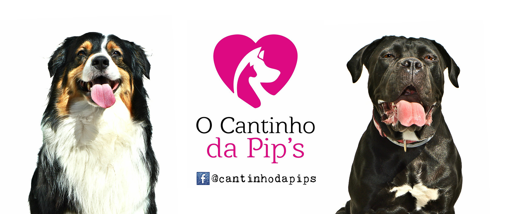 O Cantinho da Pip's loja de produtos para animais, veterinário, treino canino, nutrição canina, nutrição felina, rações, trelas e coleiras, peitorais não puxar