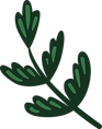 Plante
