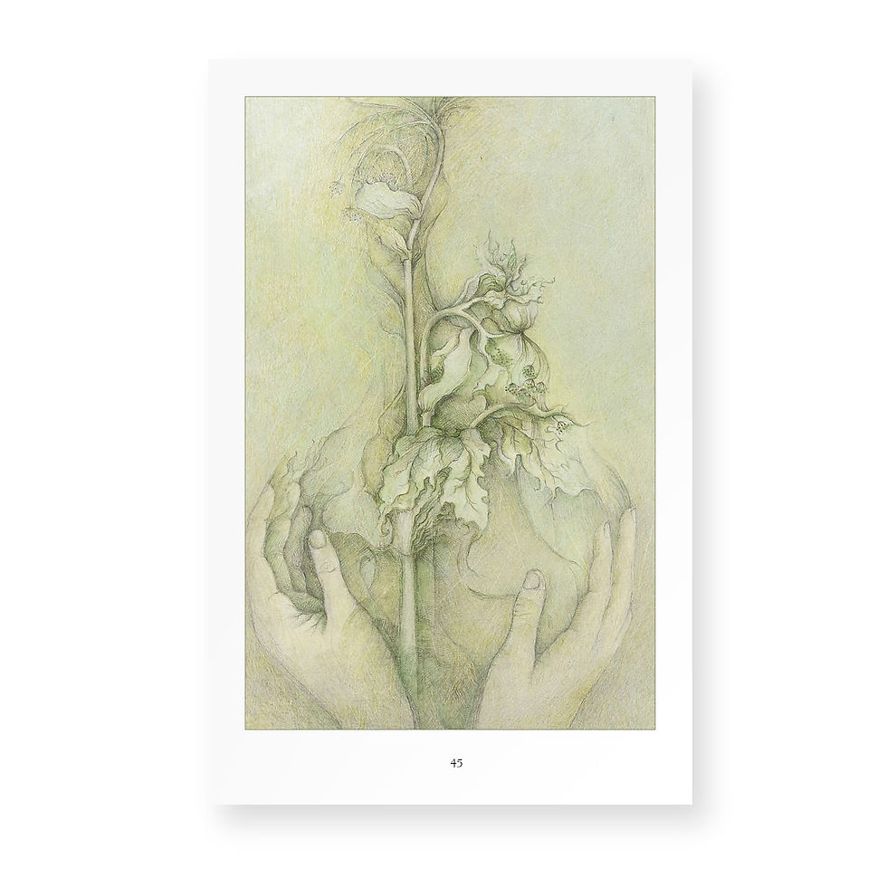 Thumbnail: A Garden's Echo