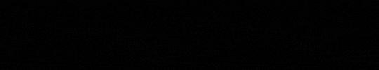 bar.gif