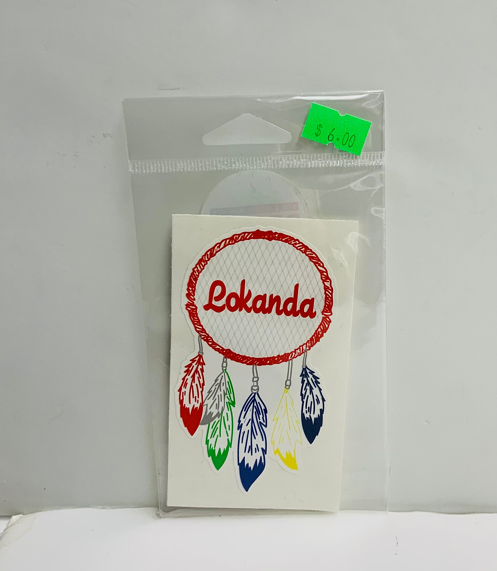 Thumbnail: Dream Catcher Camp Decals