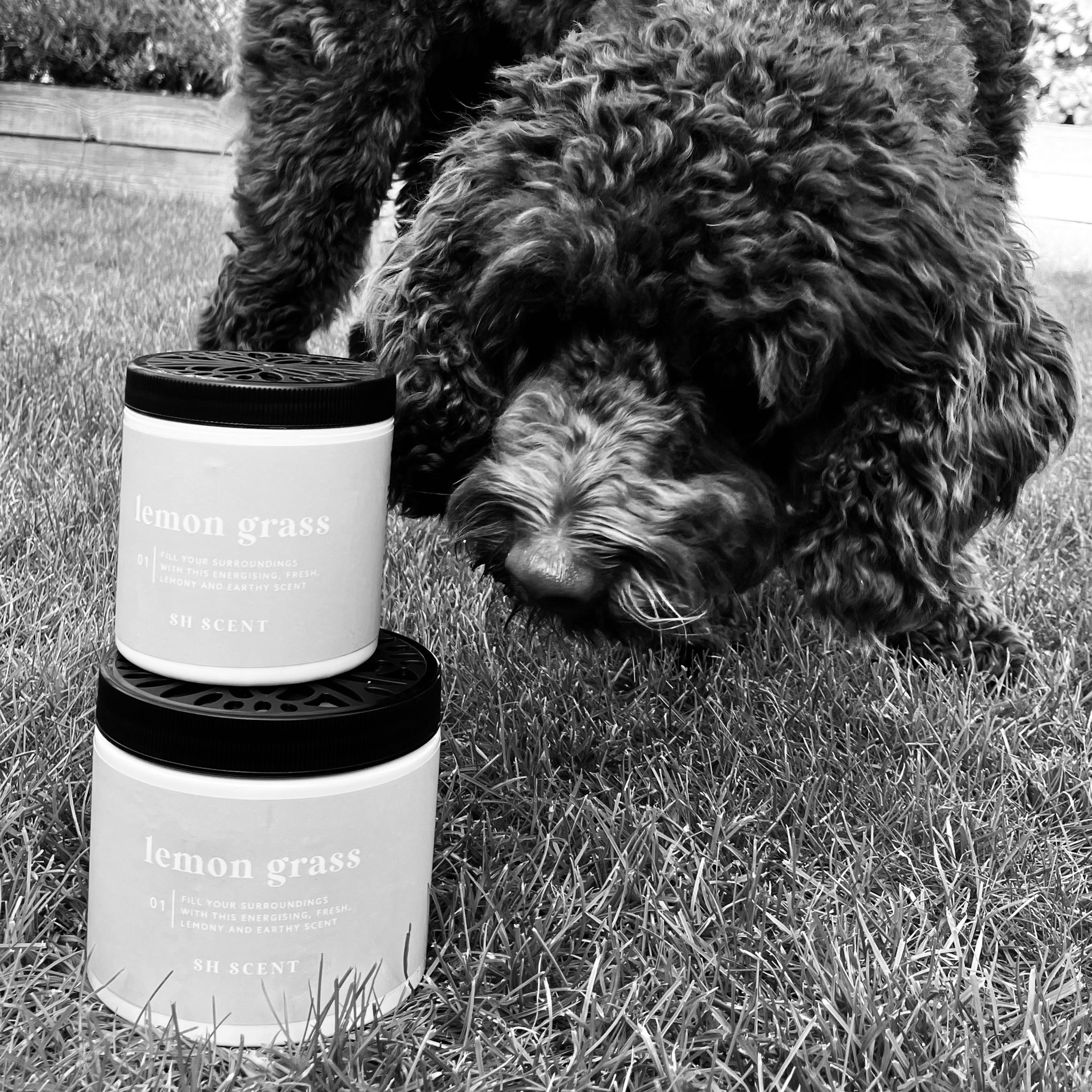 SH Scent Nature's Odour Neutraliser Block