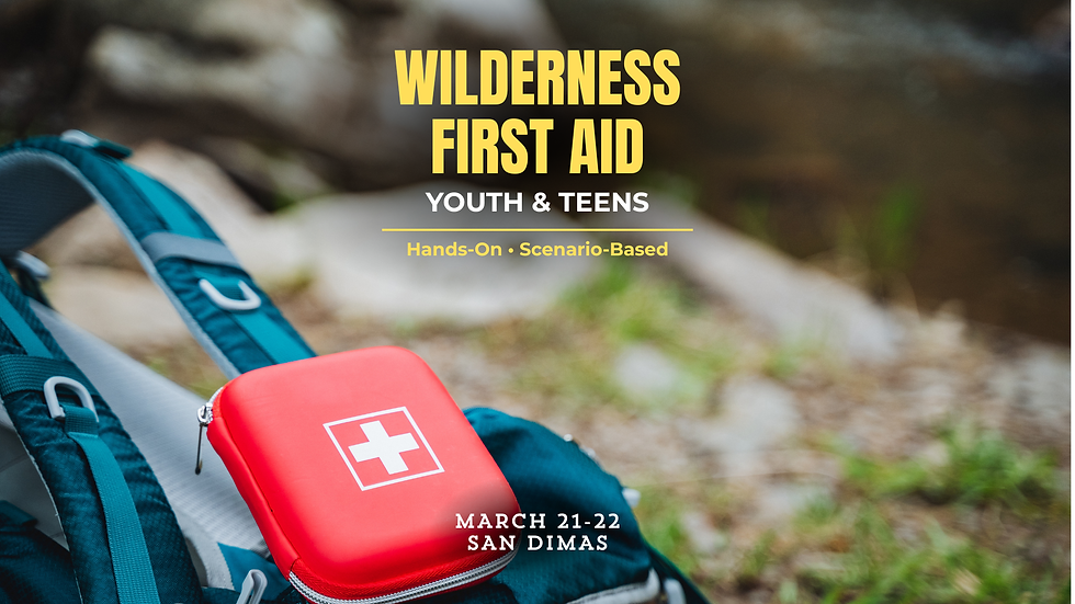 WILDERNESS FIRST AID