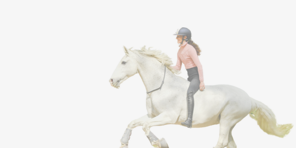 Untitled design (10).png