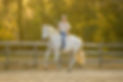 Harmony-Happiness-course-photo.jpeg