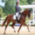 514276902_10171998775135121_1544932340128353378_n_edited.jpg