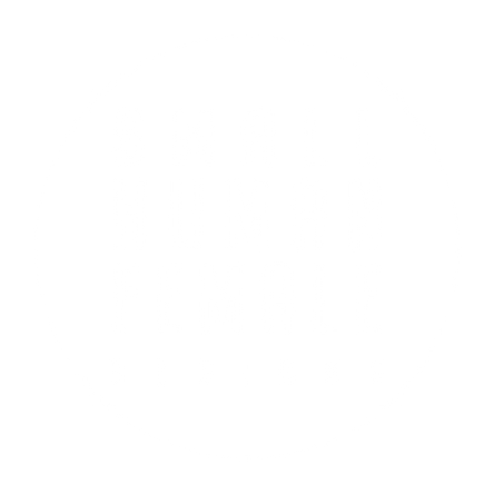 SHFD Logo Transparent.png