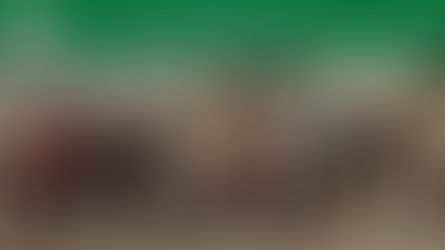 499 (2020, dir. Rodrigo Reyes) forma parte de la Sección de Documental Mexicano #FICM2020.