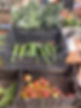 Crop Management_2023_9.jpg