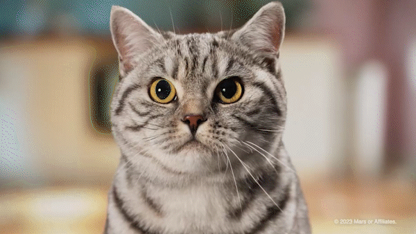 whiskas01_AdobeExpress.gif