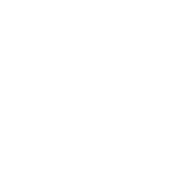 A white icon of a football.