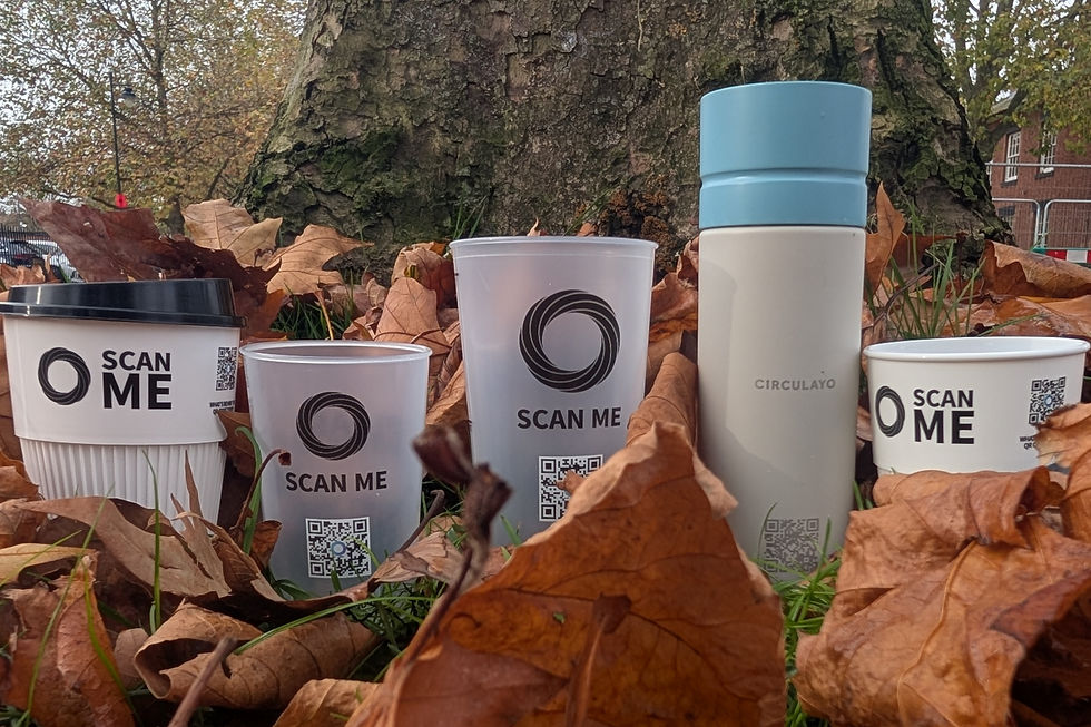 From left to right, we have a reusable coffee cup, a reusable half pint cup, a reusable pint cup, a reusable water bottle, and then another reusable cup. They are surrounded by leaves.