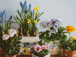 7 Sustainable Gift Ideas for Valentine's Day