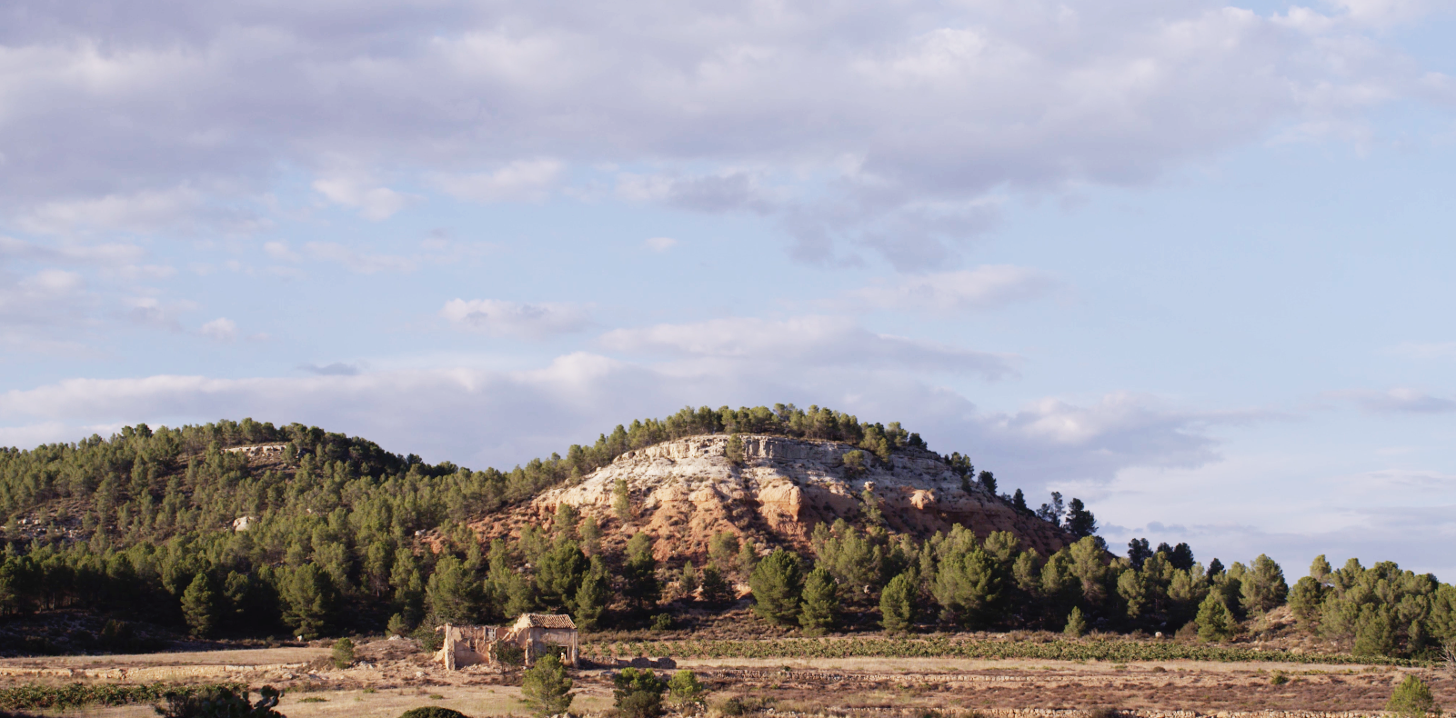 spain_utiel_requena_03