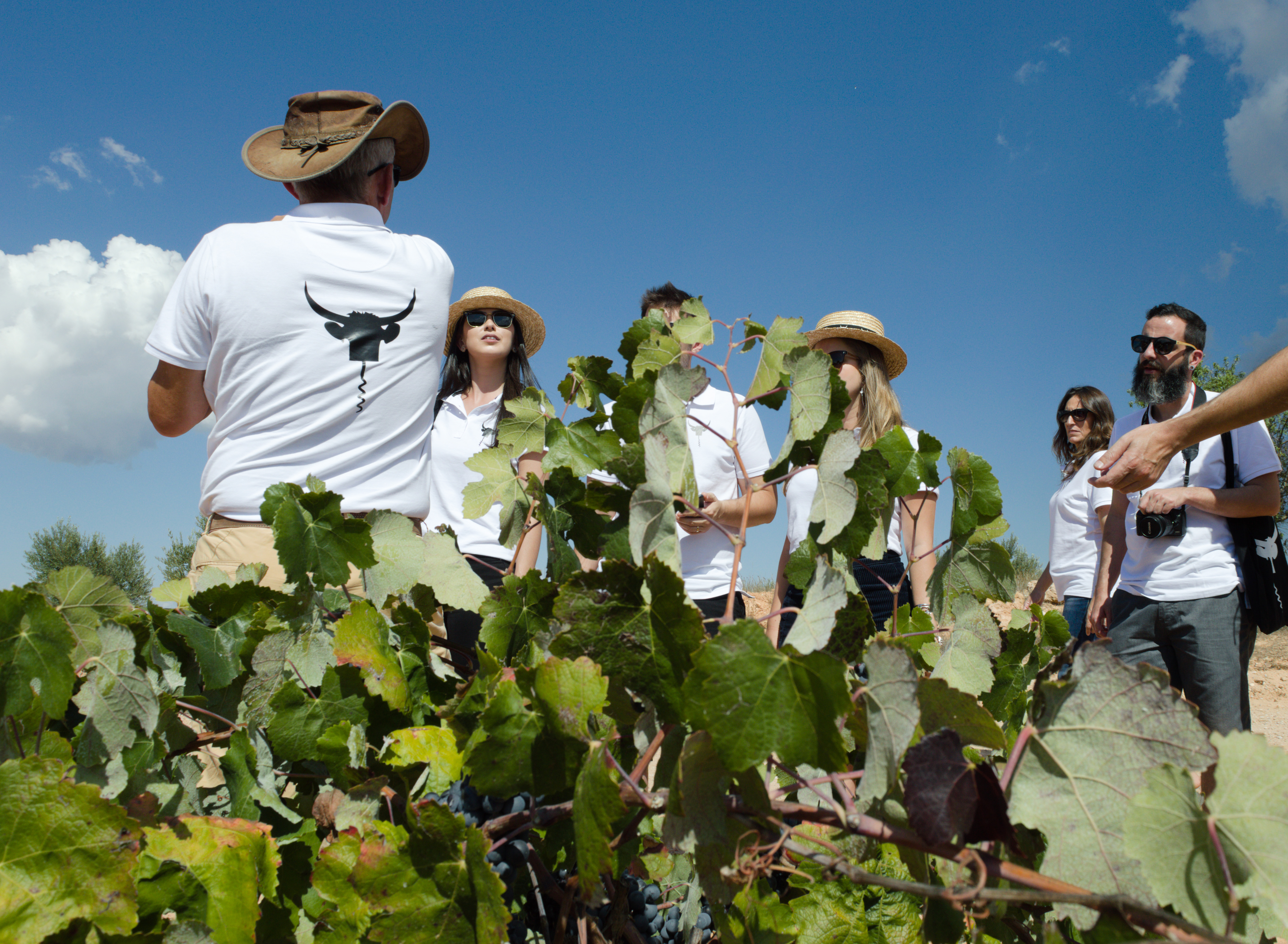 toro-loco-wine-utiel-requena-la-finca-02