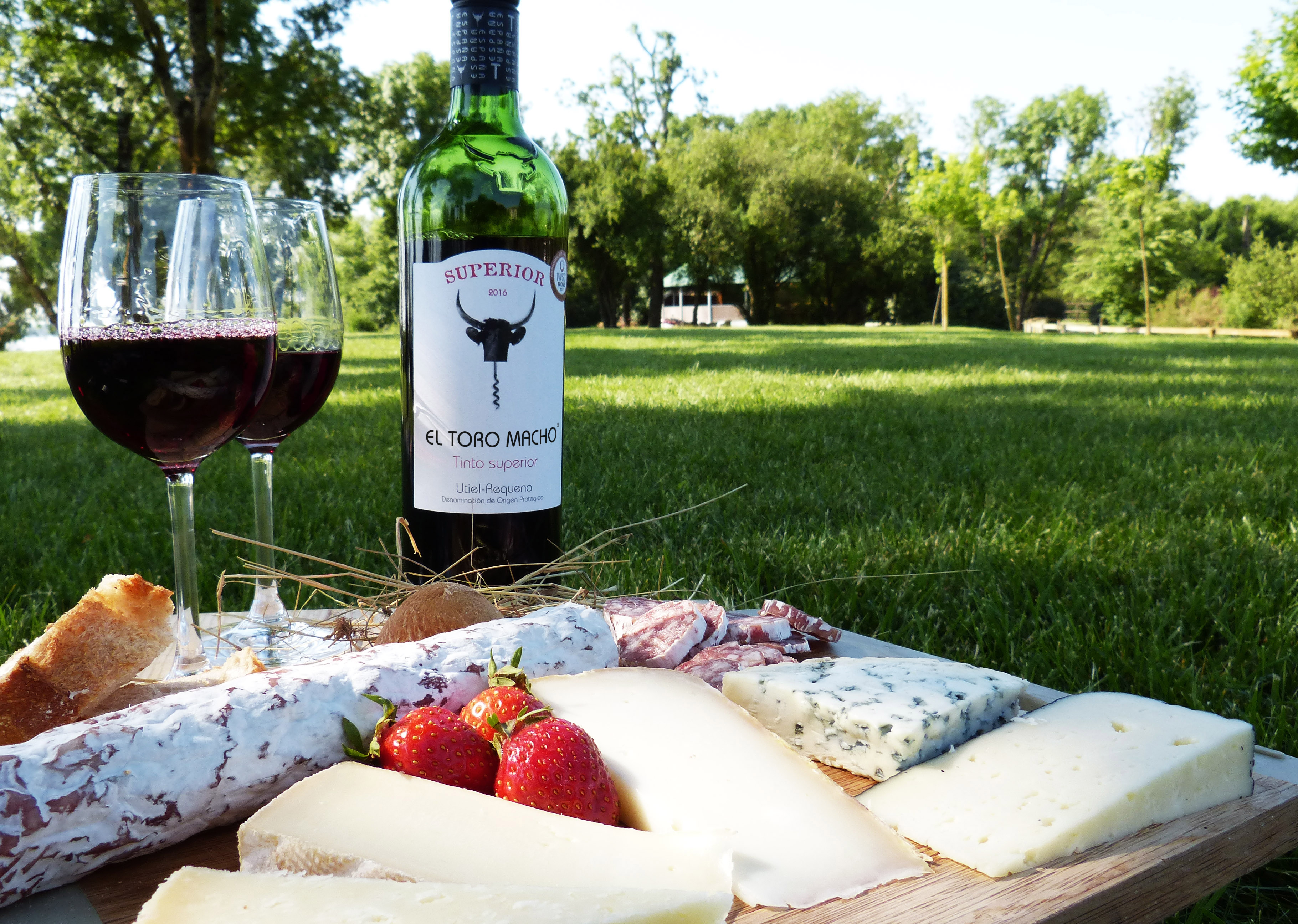 benoit-valerie-calvet-el-toro-macho-wine
