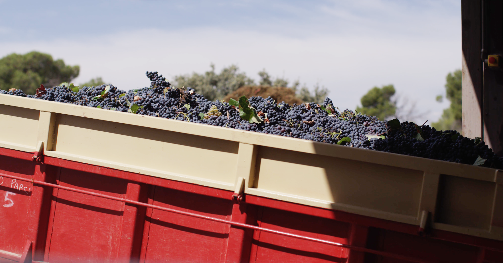 benoit-valerie-calvet-toro-loco-wine-05