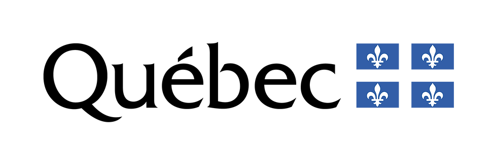 Asset 1 2.png