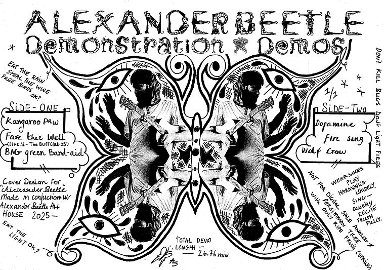 Alexander Beetle Demo 3.jpg