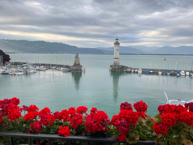 Blumen mit Aussicht auf See