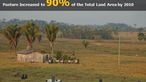 Before and After: Applying "Communication Design" Rules