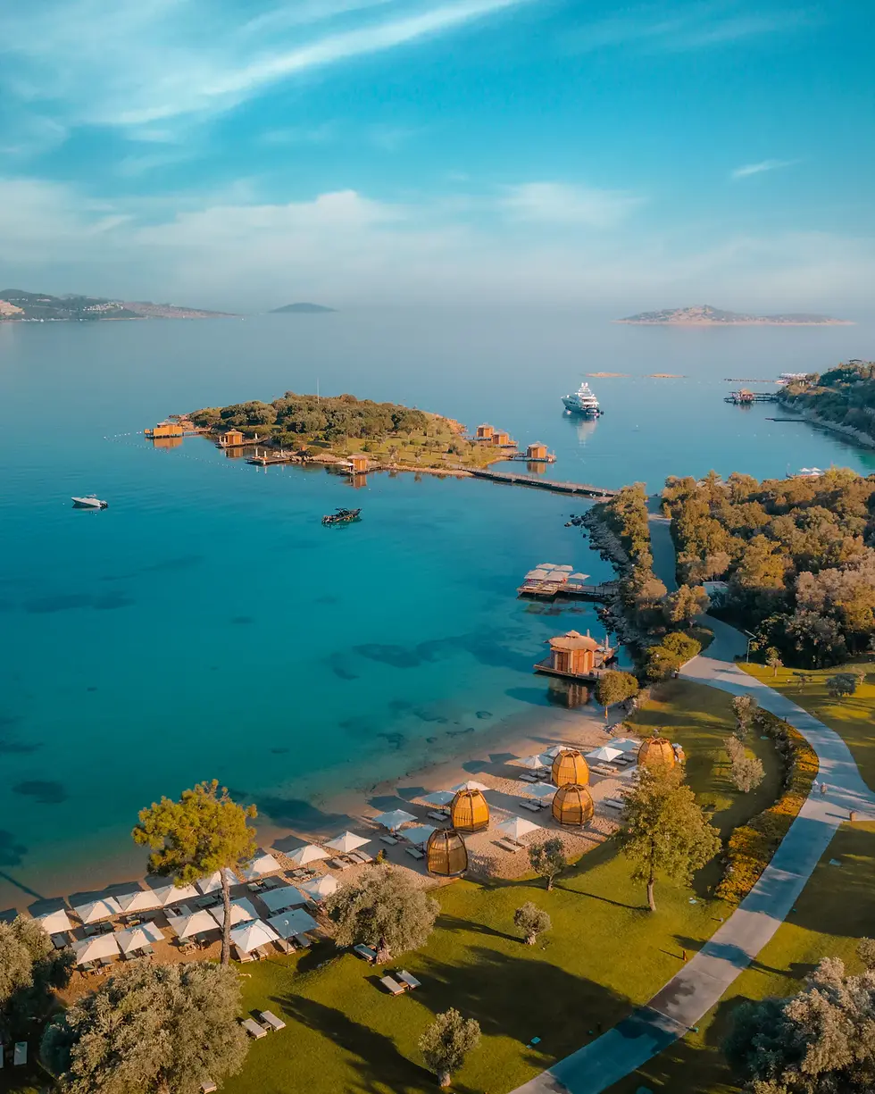 https___images.ctfassets.net_944fk97h13dc_74iExWeRjw1tvQCqN8U3d3_b62410f63d69e45489a0a0b0d