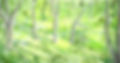 Lear- Forest Drop paint Elevation_edited.jpg