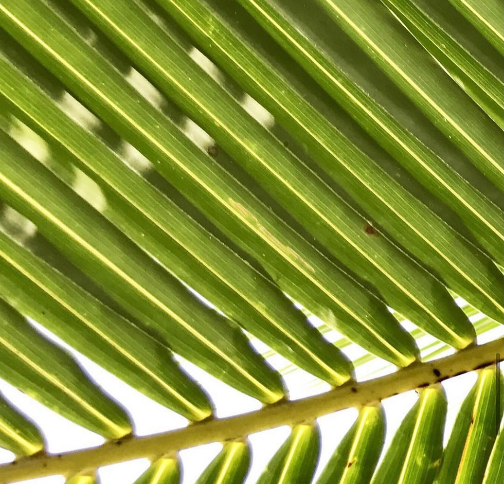 E6B7C0CA-644A-4A32-9D07-2EB63290D52F