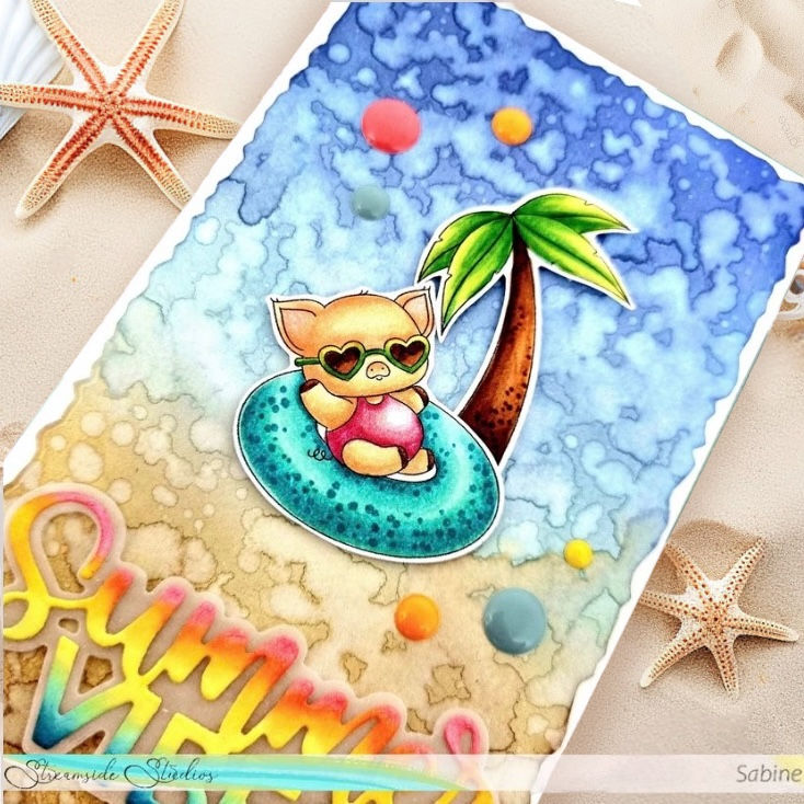 Thumbnail: Beach Critters