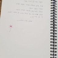WhatsApp Image 2021-07-24 at 19.03.29 (4) - עותק.jpeg