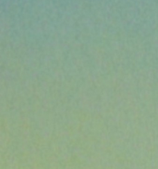 Untitled design(1) - Copy.png