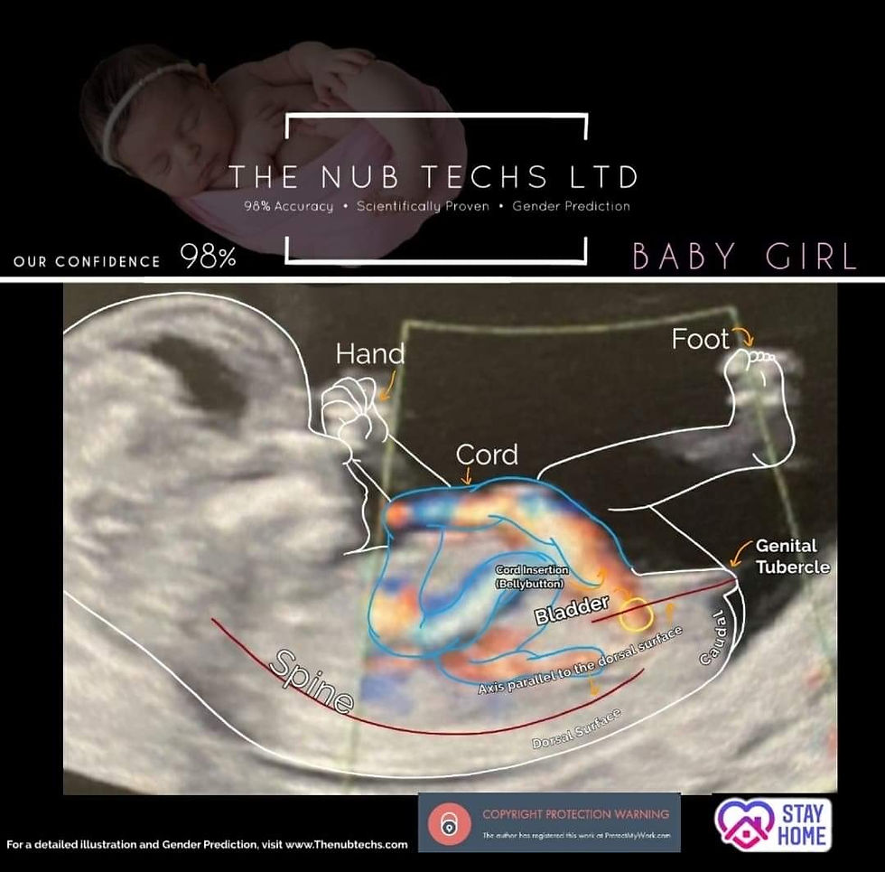 Accurate Gender Predictions Using The Nub Theory - THE NUB TECHS