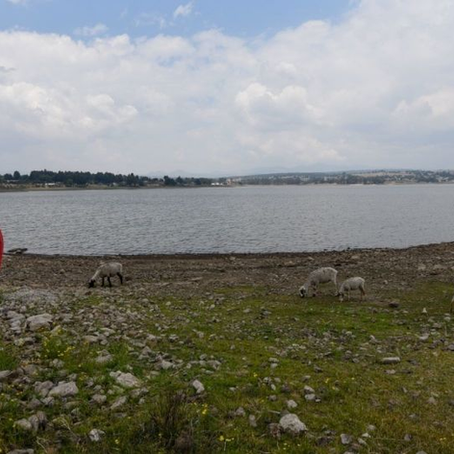 ¡Se acaba el agua en México! Hay 117 presas con muy bajo almacenamiento de agua