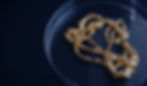 Gold2.jpg