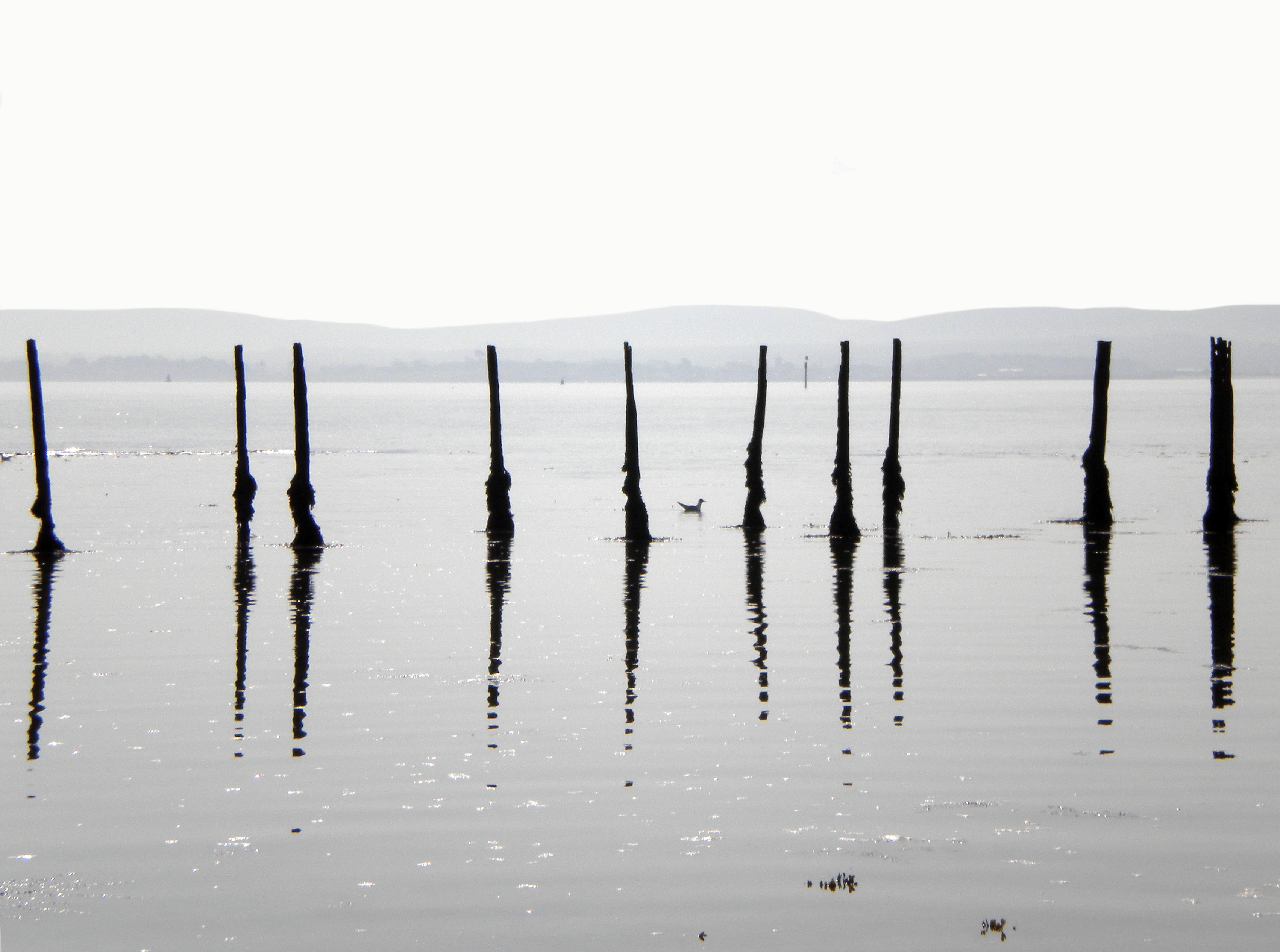 Lymington Salt Marches 3