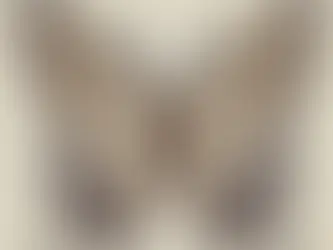 What Does it Mean to be a Maven?