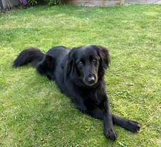 WhatsApp Image 2025-10-15 at 17.23_edited.jpg