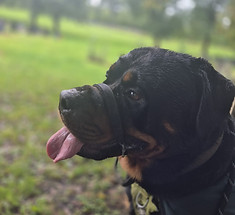 WhatsApp Image 2025-10-15 at 17.29_edited.jpg