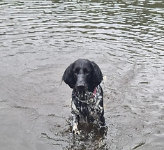 WhatsApp Image 2025-10-14 at 17_edited_e