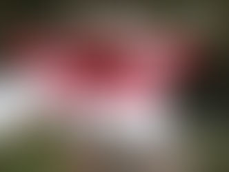 Murder Mystery Dinner