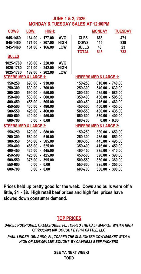 Market Report