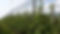 20160914_144417.jpg